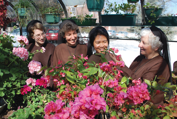 Disfrutando de las flores en el invernadero de la comunidad, algunas hermanas de las Franciscan Sisters of the Eucharist (desde la izquierda): Hermana Grace Marie Horan, F.S.E., Hermana Frances Zajac, F.S.E., Hermana Rosario Ongayo, F.S.E., y la Hermana Patricia Glass, F.S.E.